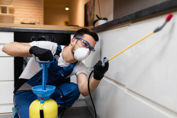 Best Flea Control Services  in Carthage, NC
