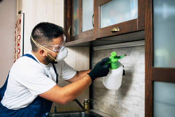 Professional Pest Control in Carthage, NC