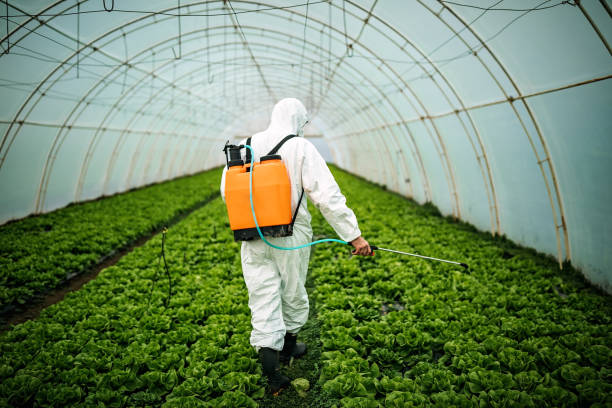 Best Best Pest Control Companies  in Carthage, NC