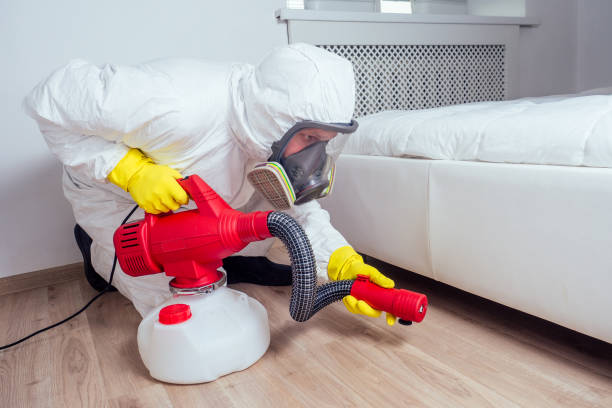 Best Termite Control Services  in Carthage, NC