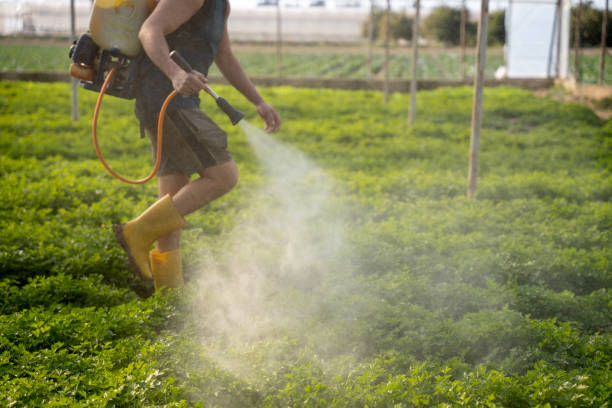 Best Local Pest Control Services  in Carthage, NC