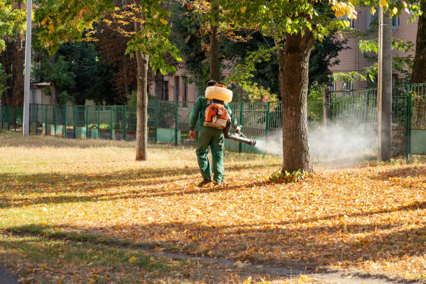 Best Wasp Removal Services  in Carthage, NC